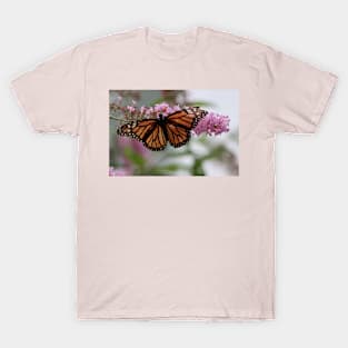 Monarch Beauty T-Shirt